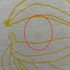 F&F - Fiú trikó (98)
